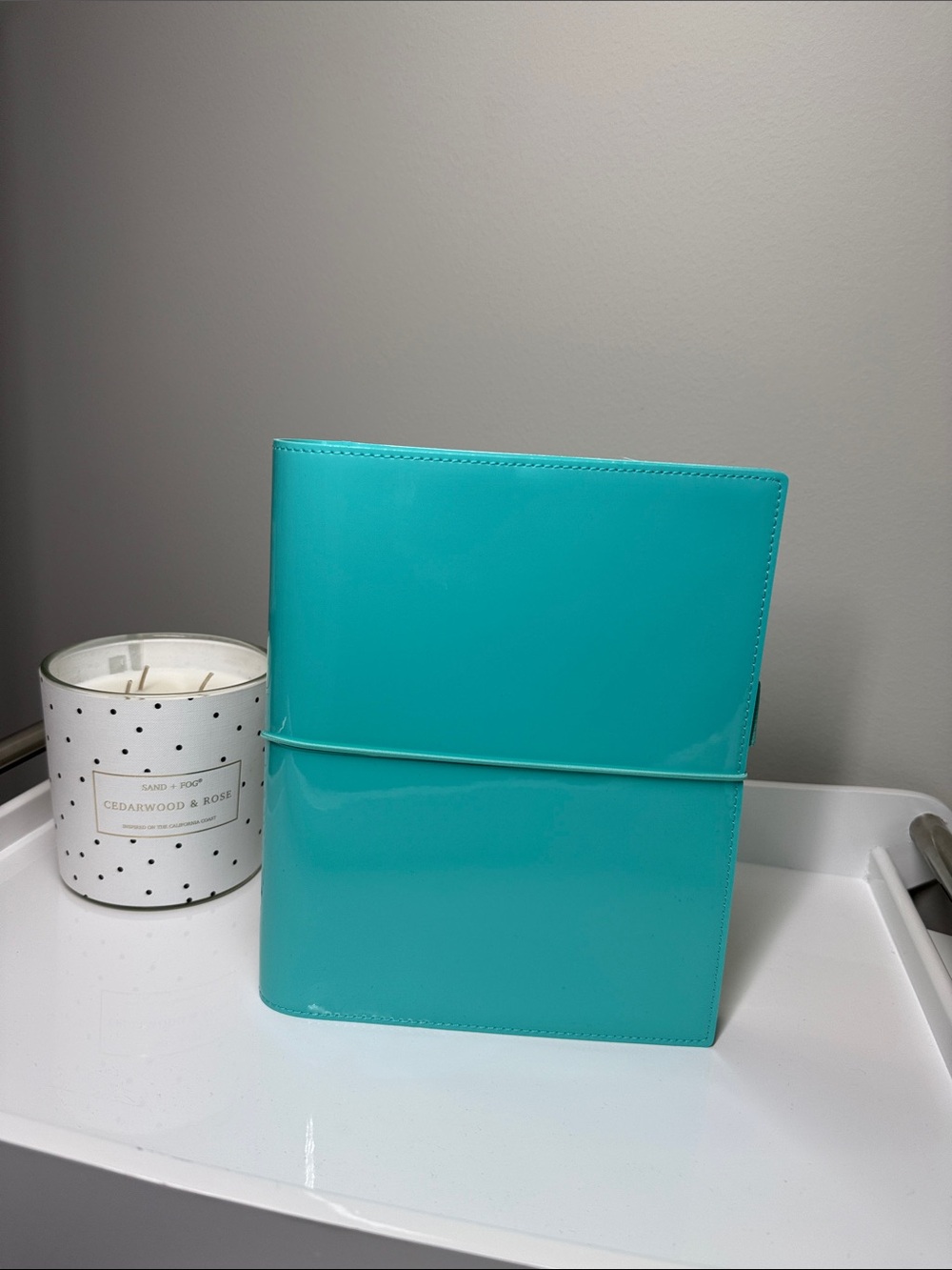 🎀 Filofax A5 planner Domino organizer agenda